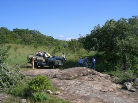 safari du matin